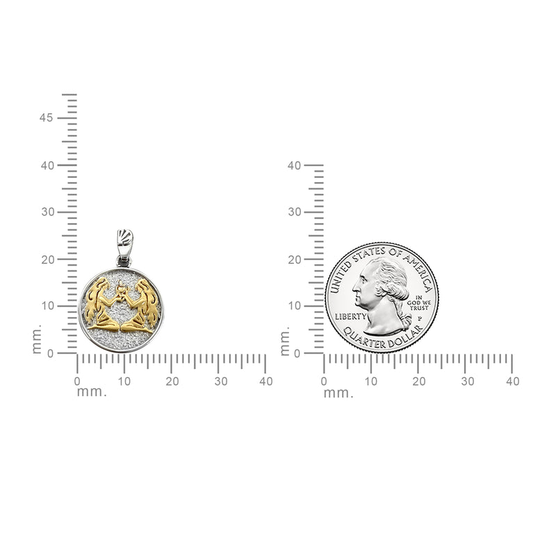 Gemini Zodiac Necklace for Women - 14K Gold Vermeil, Two Tone - Divine Box