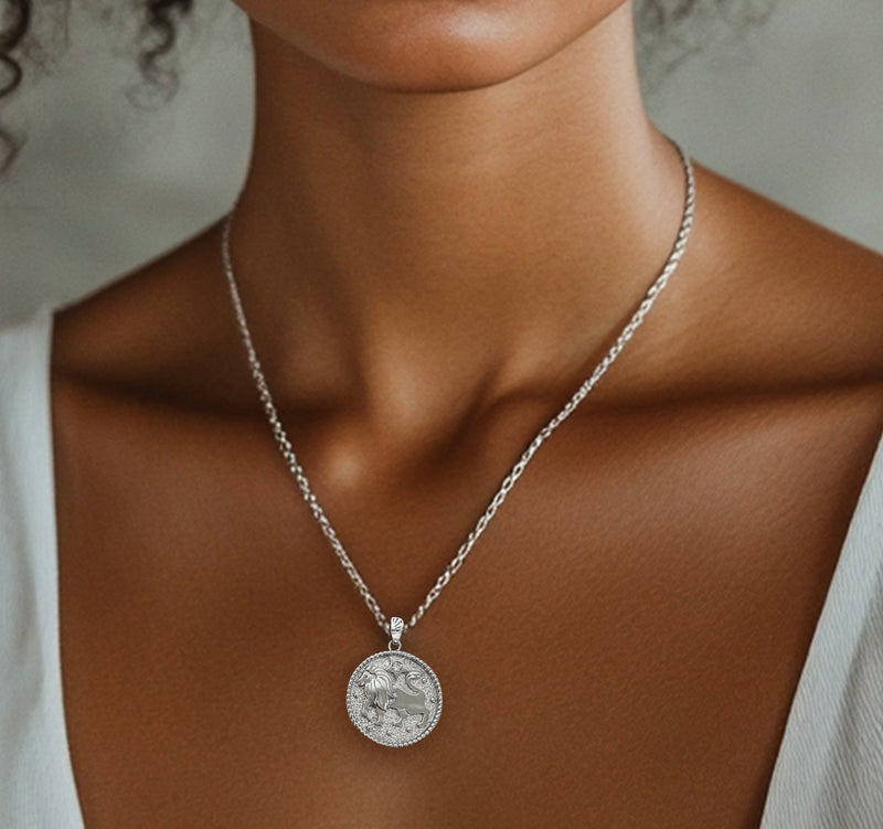 Leo Zodiac Necklace for Women with CZ stone - Sterling Silver - Divine Box
